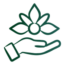 ico1